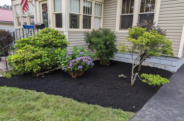Transform Your Yard: The Benefits of Remulching Your Residential Property